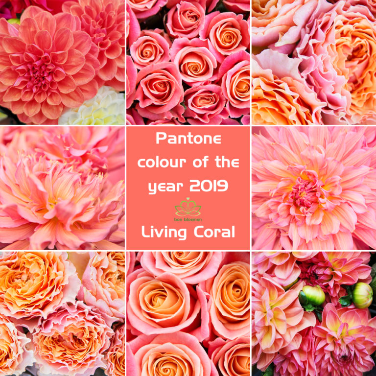 Pantone Colour Of The Year 2019 - Bon Bloemen